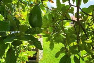 2930 SW 129th Ave, Miami, FL 33175 - Photo 65