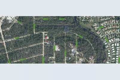 3007 Cacao Rd, Lake Placid, FL 33852 - Photo 7