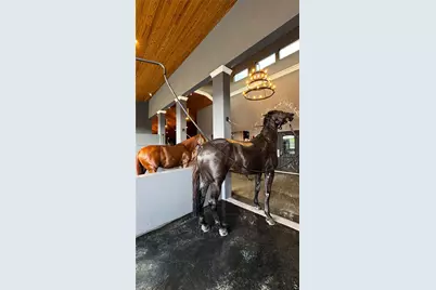 2625 SW 148th Ave, Davie, FL 33331 - Photo 49