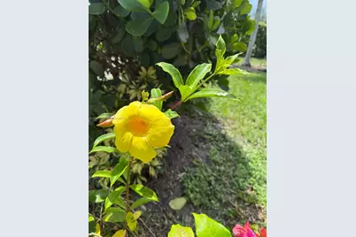 1935 Arthur St #0, Hollywood, FL 33020 - Photo 19