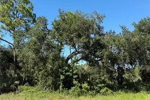 681 Avenida Del Sur Ave, Clewiston, FL 33440 - Photo 1