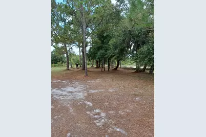 17010 NW 270th St, Okeechobee, FL 34972 - Photo 5
