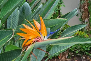 20400 W Country Club Dr, Aventura, FL 33180 - Photo 13