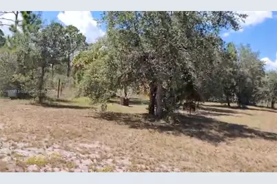 320 S Trebol Street, Clewiston, FL 33440 - Photo 9