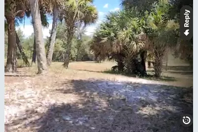 320 S Trebol Street, Clewiston, FL 33440 - Photo 5