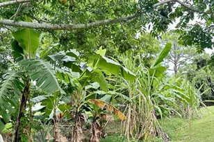 2901 SE Eagle Dr, Port Saint Lucie, FL 34984 - Photo 67