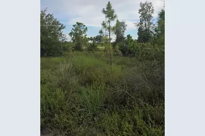 2918 Meadow, Lehigh Acres, FL 33974 - Photo 5