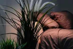 312 NE 108th St, Miami, FL 33161 - Photo 9