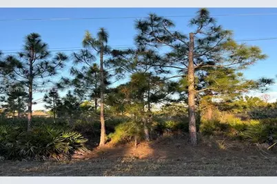 676 Sabrina Ct, Lehigh Acres, FL 33972 - Photo 1