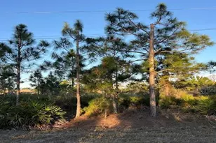 676 Sabrina Ct, Lehigh Acres, FL 33972 - Photo 1