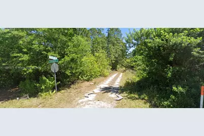 233 + 232 Caswell + Colleen Lane, Lake Placid, FL 33852 - Photo 7