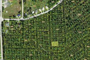 1000 Orange Brk Ln, Punta Gorda, FL 33982 - Photo 1