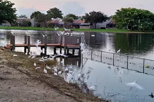 901 Colony Point Cir, Pembroke Pines, FL 33026 - Photo 7