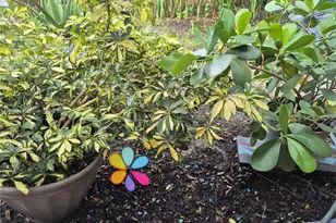 4920 SW 28th Terrace, Dania Beach, FL 33312 - Photo 35