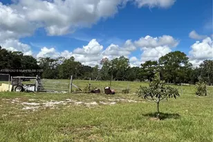 105 Farrer Rd, Frostproof, FL 33843 - Photo 31