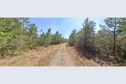 729 Suffolk Street, Lake Placid, FL 33852 - Photo 5