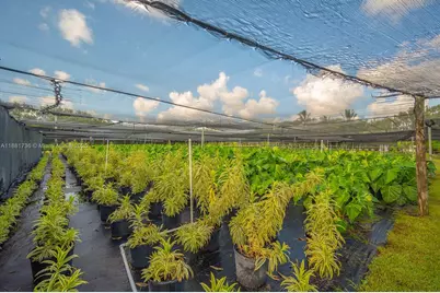 20750 SW 256 St, Homestead, FL 33031 - Photo 21