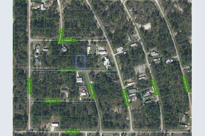 110 Sentimental Ct, Lake Placid, FL 33852 - Photo 1