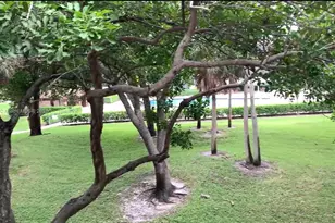 1551 SW 135th Terrace, Pembroke Pines, FL 33027 - Photo 17