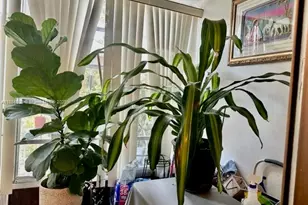 9450 Live Oak Pl, Davie, FL 33324 - Photo 7