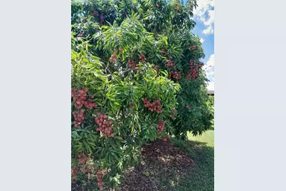 22220 SW 248th St, Homestead, FL 33031 - Photo 37