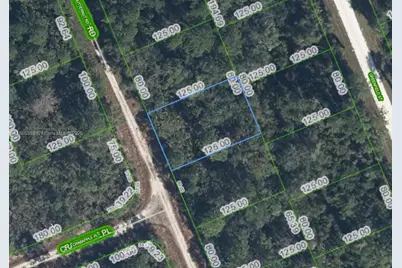 1131 Butternut Rd, Lake Placid, FL 33852 - Photo 1