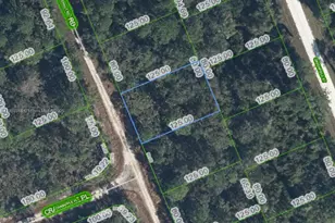 1131 Butternut Rd, Lake Placid, FL 33852 - Photo 1