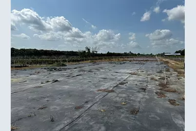 19815 SW 256 St, Homestead, FL 33031 - Photo 15