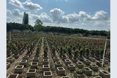 19815 SW 256 St, Homestead, FL 33031 - Photo 19