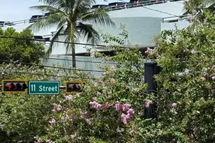 1060 Pennsylvania Ave, Miami Beach, FL 33139 - Photo 13