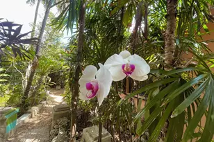 18710 Belmont Dr, Cutler Bay, FL 33157 - Photo 55