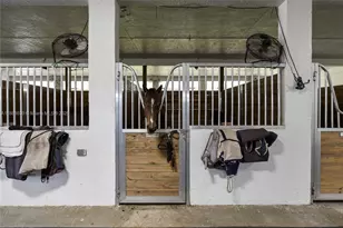 14390 Palm Beach Point Blvd, Wellington, FL 33414 - Photo 9