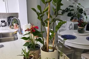 8150 W McNab Rd, Tamarac, FL 33321 - Photo 11