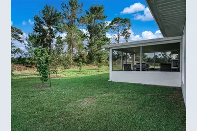 112 Bimini St NE, Lake Placid, FL 33852 - Photo 29