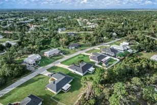 112 Bimini St NE, Lake Placid, FL 33852 - Photo 35