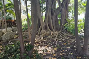 650 NE 64, Miami, FL 33138 - Photo 15