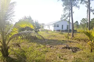 775 S Palm St, Other City - In The State Of Florida, FL 33440 - Photo 5