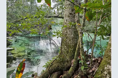 7505 Jomel Drive, Spring Hill, FL 34607 - Photo 43