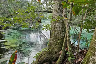 7505 Jomel Dr, Spring Hill, FL 34607 - Photo 43