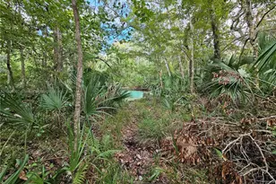 7505 Jomel Dr, Spring Hill, FL 34607 - Photo 41