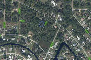 1431 Stall St, Lake Placid, FL 33852 - Photo 1