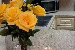 1555 W 44th Pl, Hialeah, FL 33012 - Photo 15