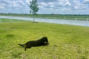 974 Bent Creek Dr, Fort Pierce, FL 34947 - Photo 3