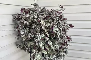 4700 Regina Dr, Fort Pierce, FL 34982 - Photo 45