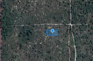 701 Camden St, Lake Placid, FL 33852 - Photo 1