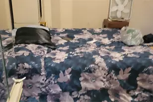 4031 SW 19th St, West Park, FL 33023 - Photo 5