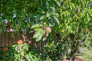 22000 SW 127th Ave, Miami, FL 33170 - Photo 39