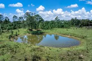 2316 Gem Stone, Sebring, FL 33857 - Photo 33