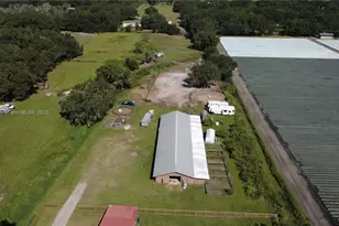 5902 Thonotosossa Rd, Plant City, FL 33565 - Photo 29