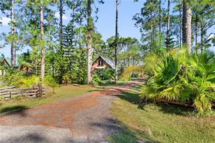 1104 Hyacinth Ave, Sebring, FL 33875 - Photo 43